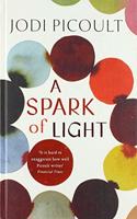 A Spark of Light: THE NUMBER ONE SUNDAY TIMES BESTSELLER