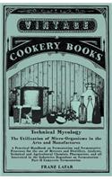 Technical Mycology - The Utilization of Micro-Organisms in the Arts and Manufactures - Part II Eumycetic Fermentation