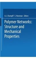 Polymer Networks: Structure and Mechanical Properties