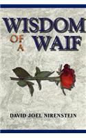 Wisdom of a Waif