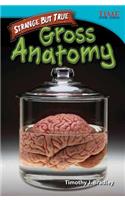 Strange But True: Gross Anatomy (Library Bound)