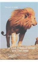 Lost Tribes Tribes Of Israel And The Jews
