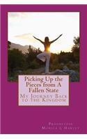 Picking Up the Pieces from A Fallen State