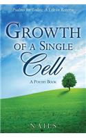 Growth of a Single Cell