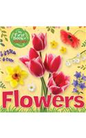Flowers: (My First Book of Nature)