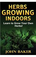 Herbs Growing Indoors - Learn to Grow Your Own Herbs!