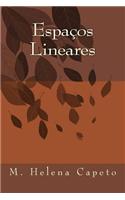 Espacos Lineares: Algebra Linear