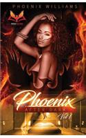 Phoenix After Dark