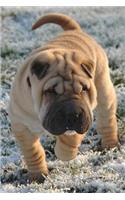 Super Cute Sharpei Puppy Dog Pet Journal