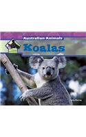 Koalas