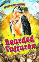 Bearded Vultures