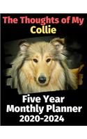 The Thoughts of My Collie