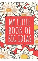 My little book of big ideas