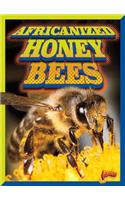 Africanized Honeybees