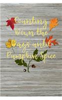 Counting Down The Days Until Pumpkin Spice