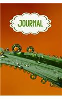 Journal