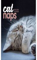 CAT NAPS EASEL 2020