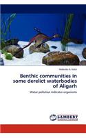 Benthic communities in some derelict waterbodies of Aligarh