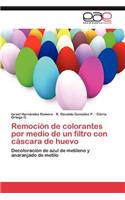 Remoción de colorantes por medio de un filtro con cáscara de huevo