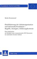 Flexibilisierung Der Arbeitsorganisation Und Informatik-Produktion -- Begriffe, Strategien, Erfahrungskontexte: Eine Exploration Am Beispiel Eines Transnationalen Edv-Konzerns Im Nationalen Kontext Italiens(252 Europaeische Hochschulschriften / European University Studie)