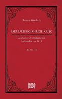 Dreißigjährige Krieg. Geschichte des Böhmischen Aufstandes von 1618. Band 3: Vom Ulmer Vertrag 1620 bis zu der Unterwerfung von Mähren, Schlesien und den Lausitzen