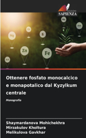 Ottenere fosfato monocalcico e monapotalico dal Kyzylkum centrale