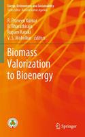 Biomass Valorization to Bioenergy