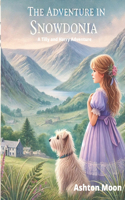 The Adventure in Snowdonia: A Tilly and Harry Adventure