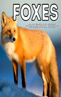 Foxes Calendar 2021