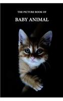 The Picture Book of Baby Animal