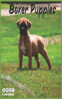 Boxer Puppies 2021 Calendar: Official Puppies Breed Wall Calendar 2021, 18 Months