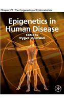 Chapter 01, the Human Growth Curve, Canalization and Catch-Up Growth
