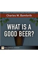 What Is a Good Beer?