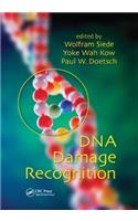 DNA Damage Recognition