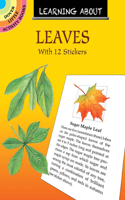 Learning about Leaves