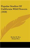 Popular Studies Of California Wild Flowers (1920)
