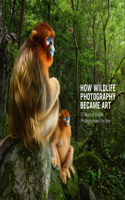 How Wildlife Photography Became Art: 55 Years of Wildlife Photographer of the Year