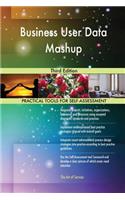 Business User Data Mashup Third Edition