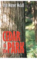 Cedar in the Park