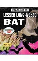 Bringing Back the Lesser Long-Nosed Bat
