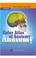 Color Atlas of Anatomy