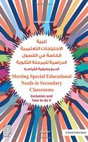 Meeting Special Educational Needs in Secondary Classrooms