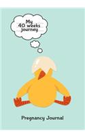 Pregnancy Journal My 40 Weeks Journey
