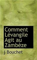 Comment L Vangile Agit Au Zamb Ze