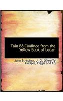 Tain Bo Cuailnce from the Yellow Book of Lecan