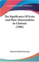 Significance Of Scute And Plate Abnormalities In Chelonia (1906)