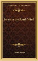 Straw in the South Wind