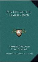 Boy Life On The Prairie (1899)