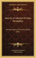 Notes On A Collection Of Cuban Pteridophyta