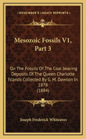 Mesozoic Fossils V1, Part 3